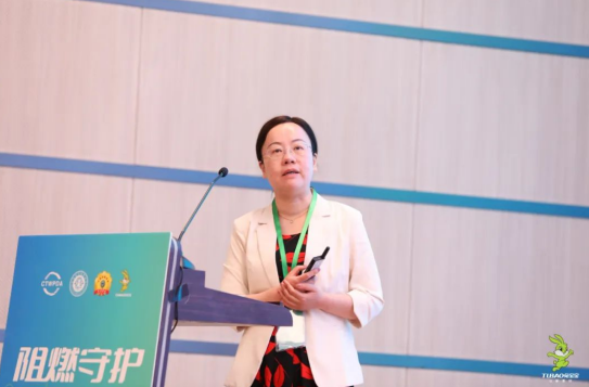 共筑绿色家居 助力行业发展升级 2024年“阻燃守护·品质人居”大会召开(图5)
