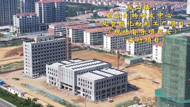 重点项目观摩“有看头”！(图9)