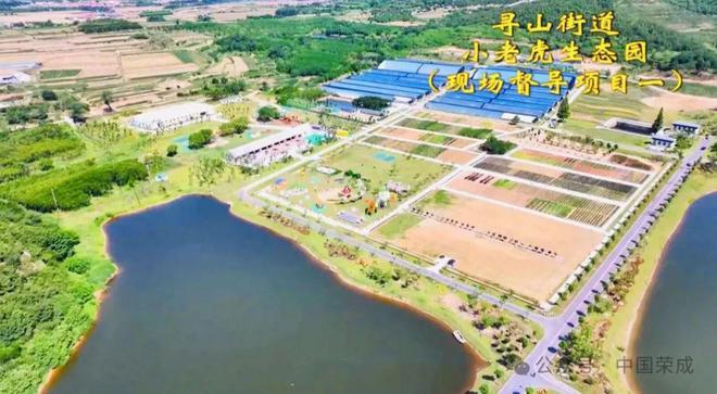 重点项目观摩“有看头”！(图7)
