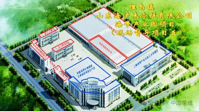重点项目观摩“有看头”！(图8)